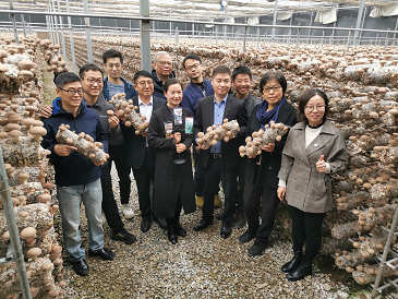 设施食用菌研发迈入智能化新阶段——国家重点研发计划课题中期检查会暨香菇液体菌种现场会在豫召开