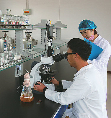 科技之光映照菌菇新篇——当“日出江花红胜火”的灵感邂逅食用菌研发