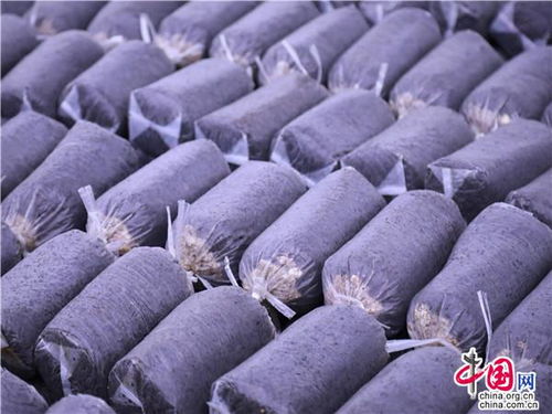 贵州独山 东风吹拂菌子香 菇舞人心销售忙